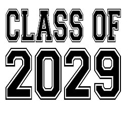 2029